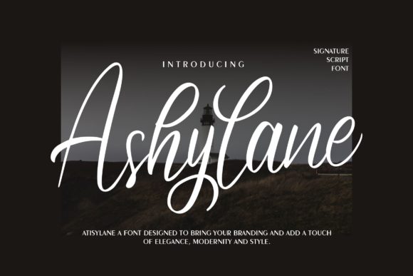 Ashylane Script: A Fresh Take on Elegant Handwriting