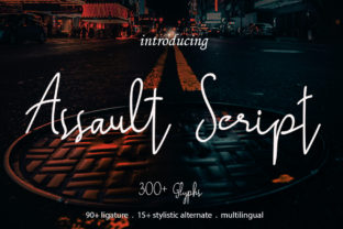 Assault Script: Crafting a Raw and Energetic Brand Identity