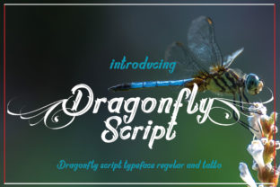 Dragonfly Script: Elevating Your Design with Handwritten Charm