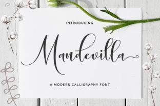 Mandevilla Script: The Crafting Font That Feels Like a Hug
