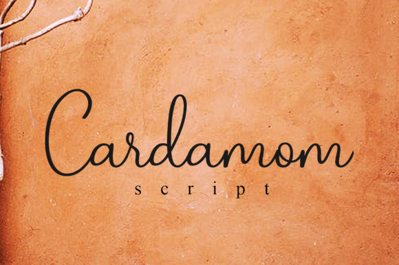 The Timeless Appeal of Cardamom Script for Modern Designers