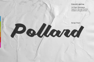Unlocking Bold Charm: A Deep Dive into Pollard Script